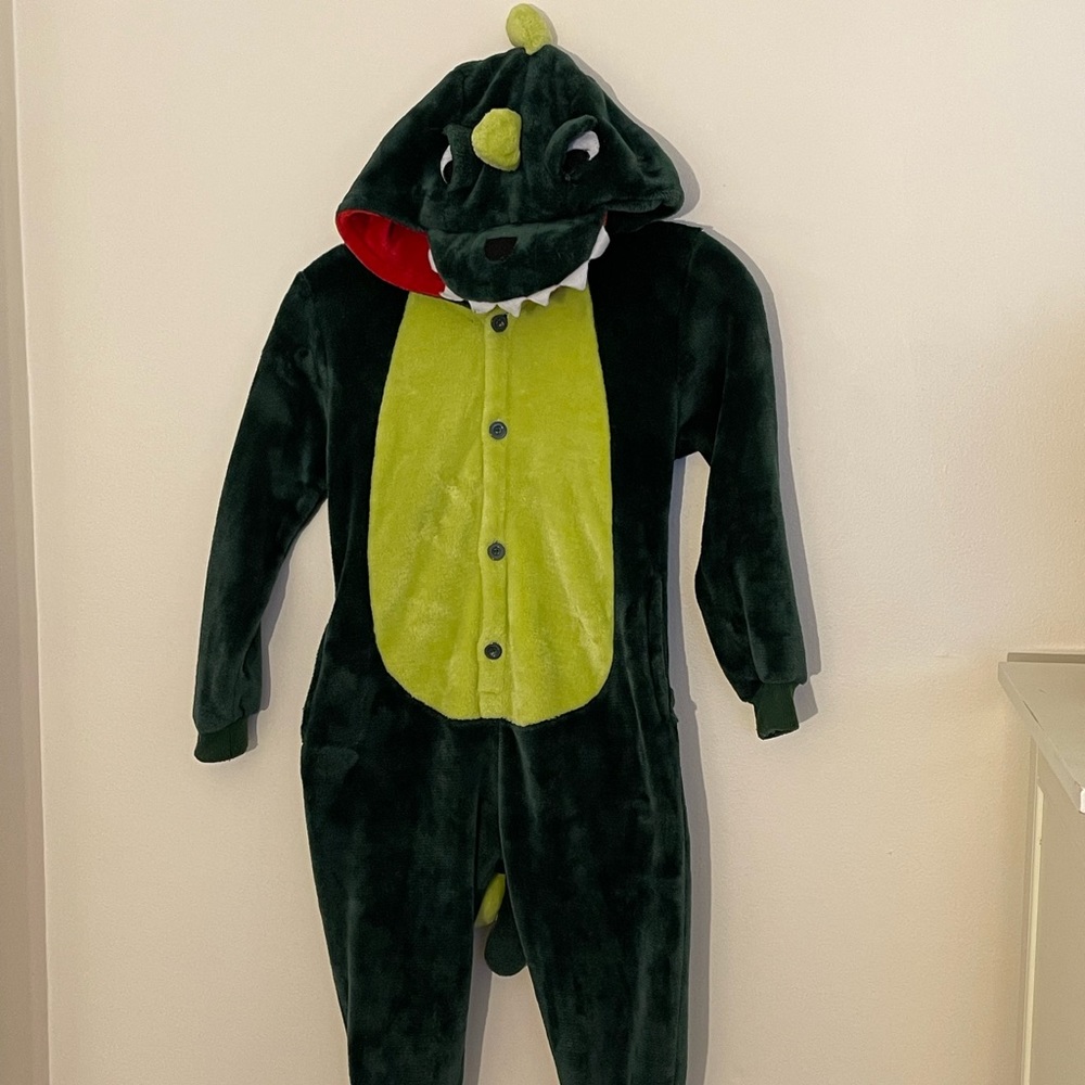 Dinosaur or Alligator Halloween or Dress Up Costume. Warm fleece with pockets.